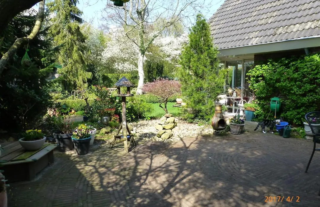 Wiersse 68-1